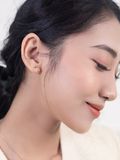  14K Dazzle earrings 