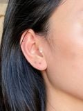  14K Gold Ball piercing 