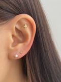  14K Butterfly Shining labret piercing 