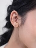  14K Treasure Island Earrings 