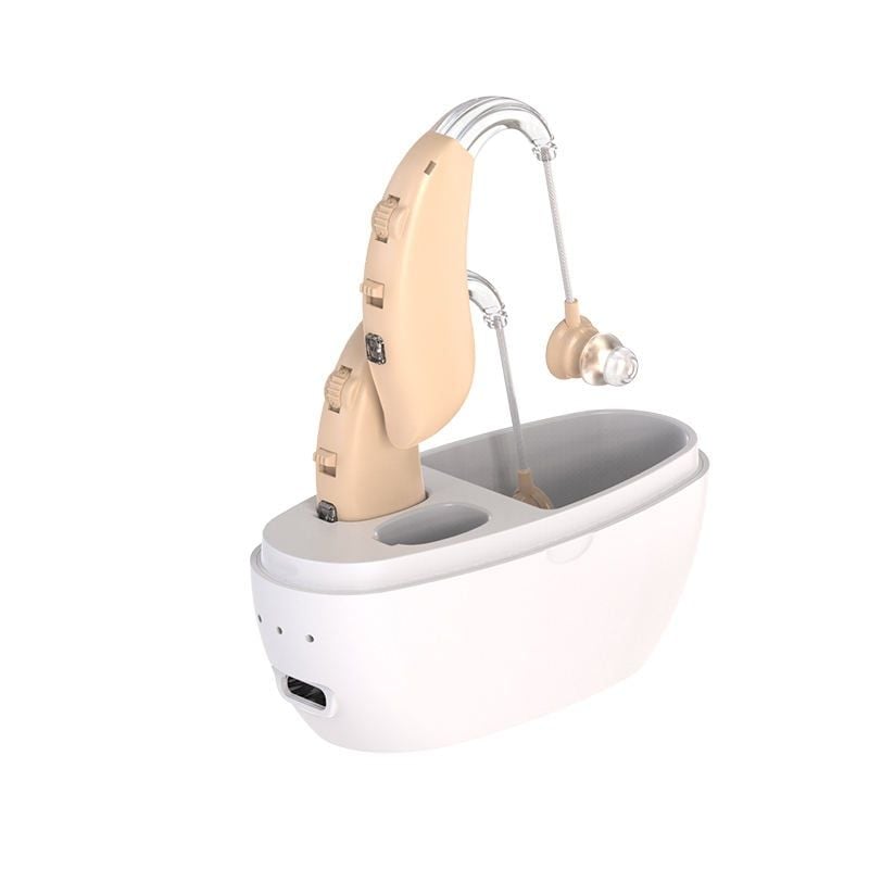 Cặp máy trợ thính đeo vành tai GM-360T ( 353)