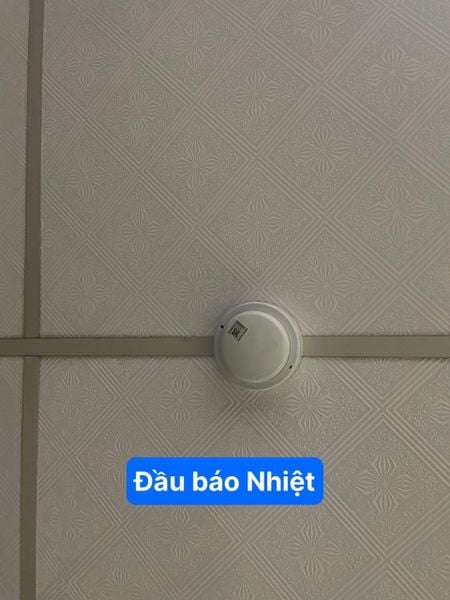  Đầu báo khói quang YungYang YDS- S01 