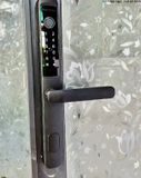  Khóa vân tay cửa nhôm HPS- 3376 (ttlock) 