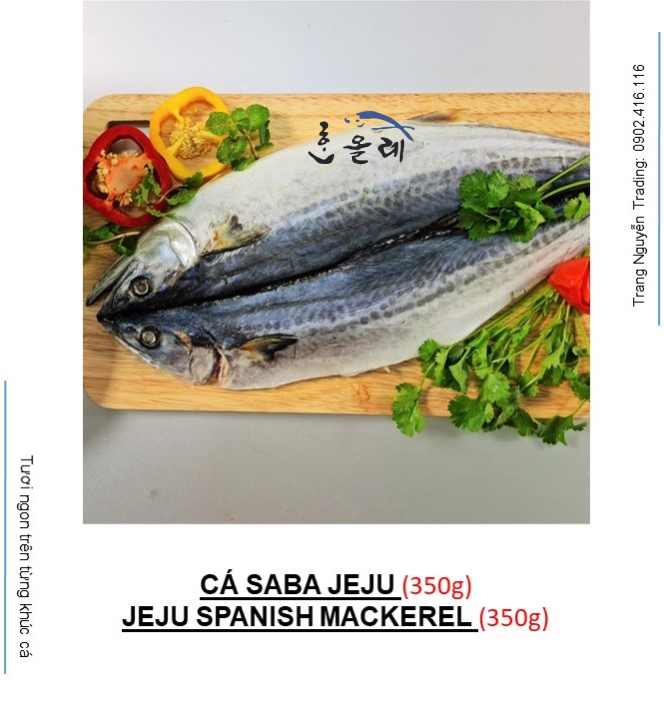 CÁ SABA JEJU 350G - JEJU SPANISH MACKEREL 350G