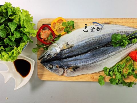  CÁ SABA JEJU 350G - JEJU SPANISH MACKEREL 350G 