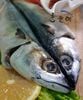CÁ THU MUỐI JEJU - JEJU SALTED MACKEREL