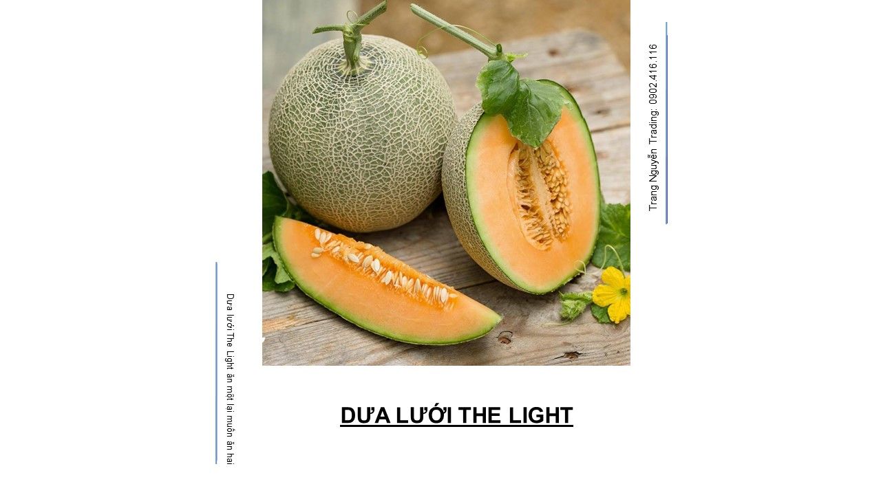 DƯA LƯỚI THE LIGHT