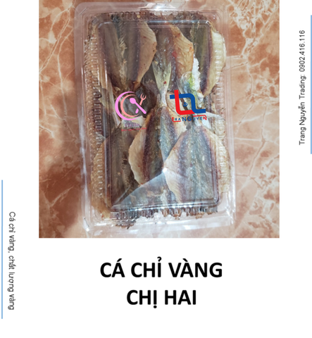  CÁ CHỈ VÀNG MỘT NẮNG CHỊ HAI 