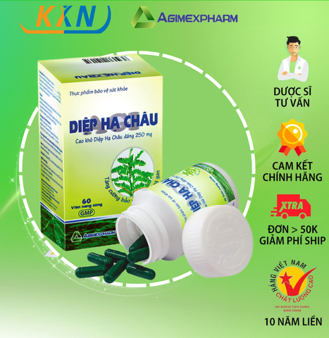  DIỆP HẠ CHẬU AGI - tăng cường chức năng gan, bảo vệ gan 