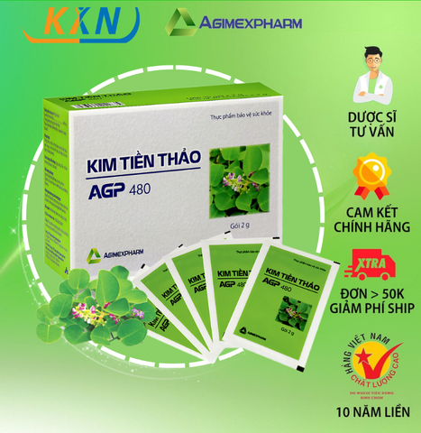  KIM TIỀN THẢO 480 - Hỗ trợ điều trị sỏi thận hiệu quả 