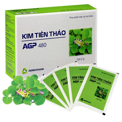  KIM TIỀN THẢO 480 - Hỗ trợ điều trị sỏi thận hiệu quả 