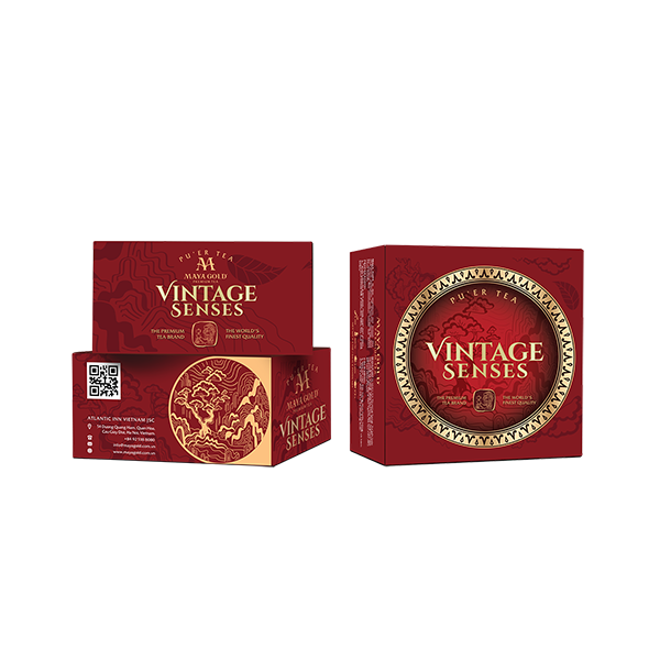  Trà Phổ Nhĩ cổ thụ - Vintage Senses MGP 