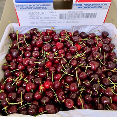 Cherry Chelan Mỹ Size 8.5 (USA Cherry - 5 Kgs)