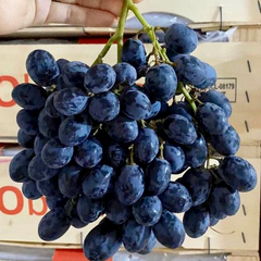 Nho Đen Chi Lê (Chilean Black Grape - 7.3 Kgs)