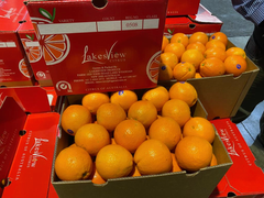 Cam Úc Lakes View (Australian Navel Orange - 18 Kgs)