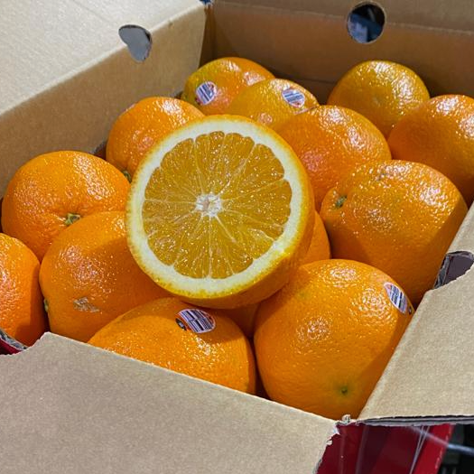 Cam Úc (Australian Navel Orange) – Blue Sky Farms