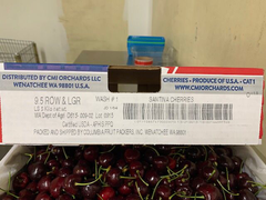 Cherry Chelan Mỹ Size 8.5 (USA Cherry - 5 Kgs)