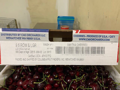 Cherry Chelan Mỹ Size 9 (USA Cherry - 5 Kgs)