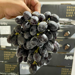 Nho Đen Úc Hello (Australian Black Grape - 9 Kgs)