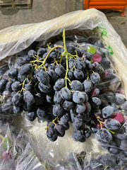 Nho Đen Chi Lê (Chilean Black Grape - 7.3 Kgs)