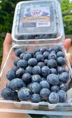 Việt Quất New Zealand (Blueberry - 1.5 Kgs)