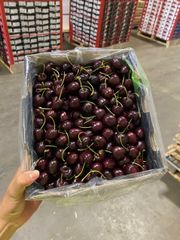 Cherry Chile (Size 2JD -> 28~30mm - 2.5 Kgs)