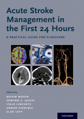 Acute Stroke Management in the First 24 Hours: A Practical Guide for Clinicians 1st Edition