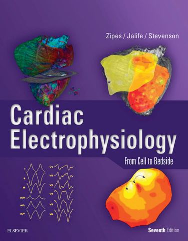 Cardiac Electrophysiology: From Cell to Bedside