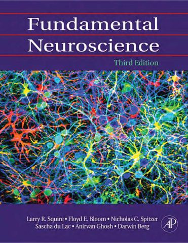 Fundamental Neuroscience