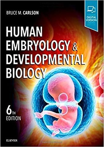 Human Embryology Developmental Biology