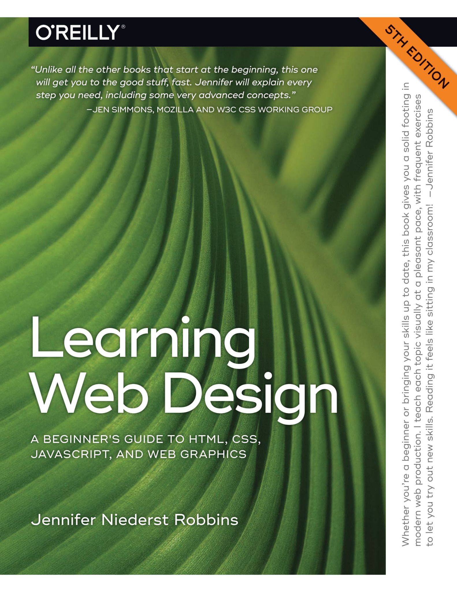 Learning Web Design: A Beginner's Guide to HTML, CSS, JavaScript, and ...