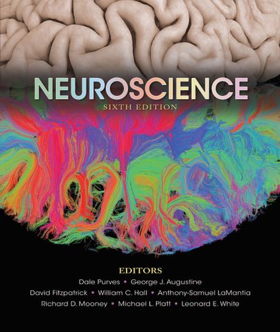 Neuroscience 6th Edition