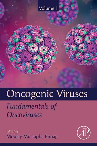 Oncogenic Viruses Volume 1: Fundamentals of Oncoviruses 1st Edition
