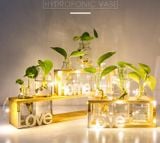  KHUNG CHAI THỦY TINH - HOME LOVE 