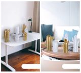  MÔ HÌNH XƯƠNG RỒNG 