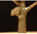  MÔ HÌNH CÂY VÀNG 