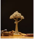  MÔ HÌNH CÂY VÀNG 