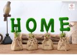  BỘ CỎ XANH CHỮ HOME LOVE 