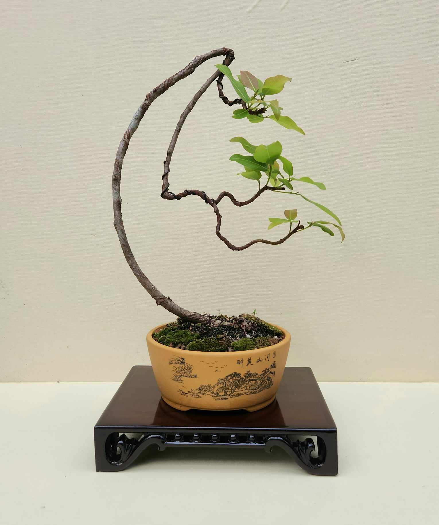  ĐÔN GỖ 