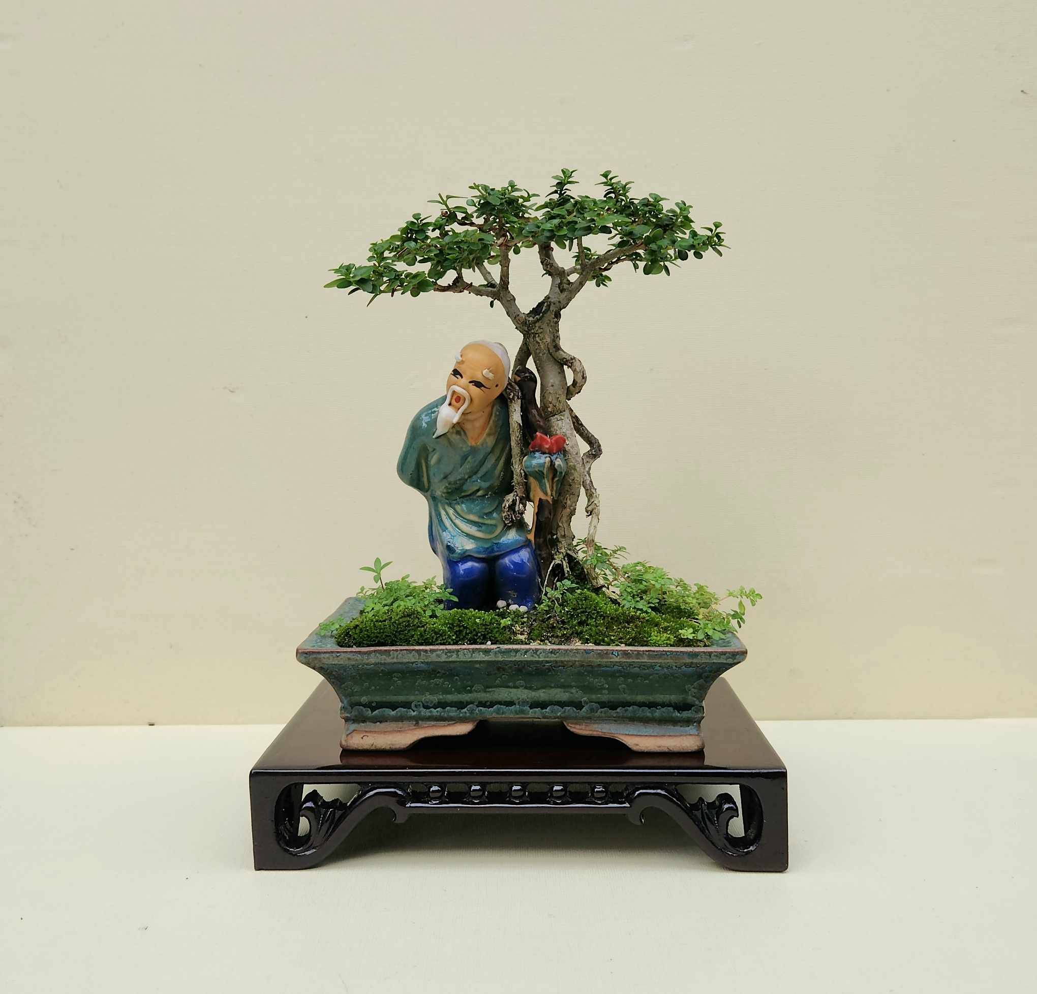  ĐÔN GỖ 