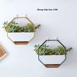 KHUNG CHẬU CÂY TREO TƯỜNG 