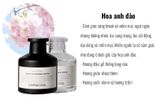  LỌ TINH DẦU KHUẾCH TÁN 