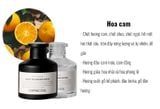  LỌ TINH DẦU KHUẾCH TÁN 
