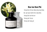  LỌ TINH DẦU KHUẾCH TÁN 