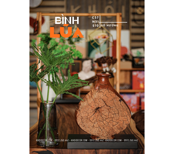  BÌNH LŨA HƯƠNG - C37 