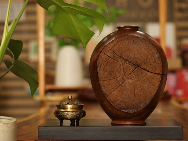  BÌNH LŨA SAO XANH - C29 