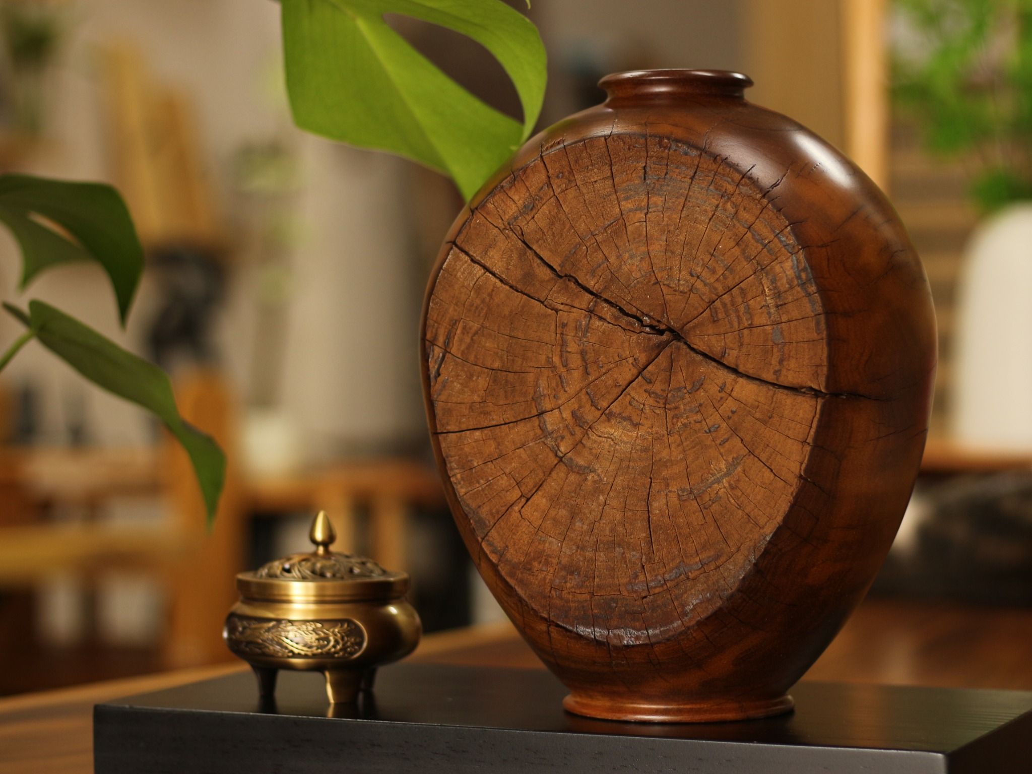  BÌNH LŨA SAO XANH - C29 