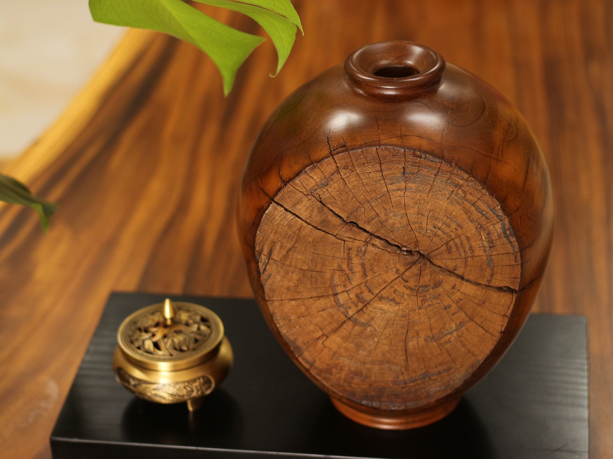  BÌNH LŨA SAO XANH - C29 