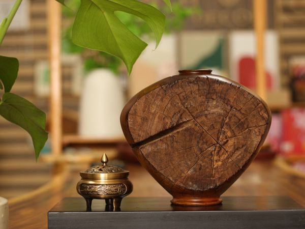  BÌNH LŨA SAO XANH - C22 