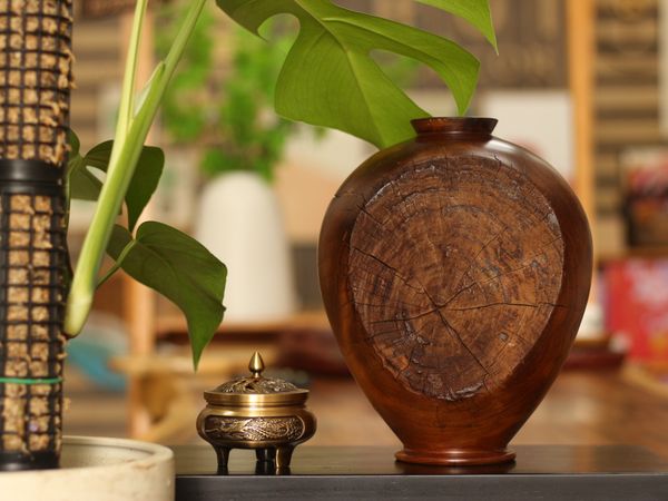  BÌNH LŨA SAO XANH - C27 